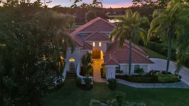 a view of a tree in a yard