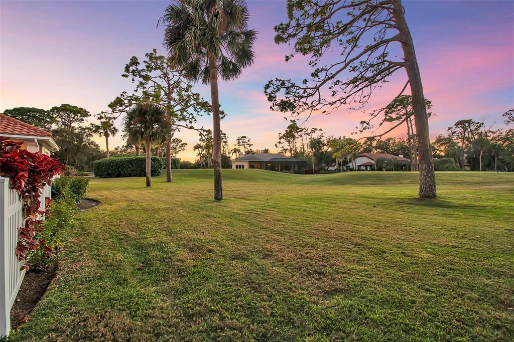 401 Walls Way Osprey, FL 34229 - Photo 50 of 51 a view of a tree in a yard