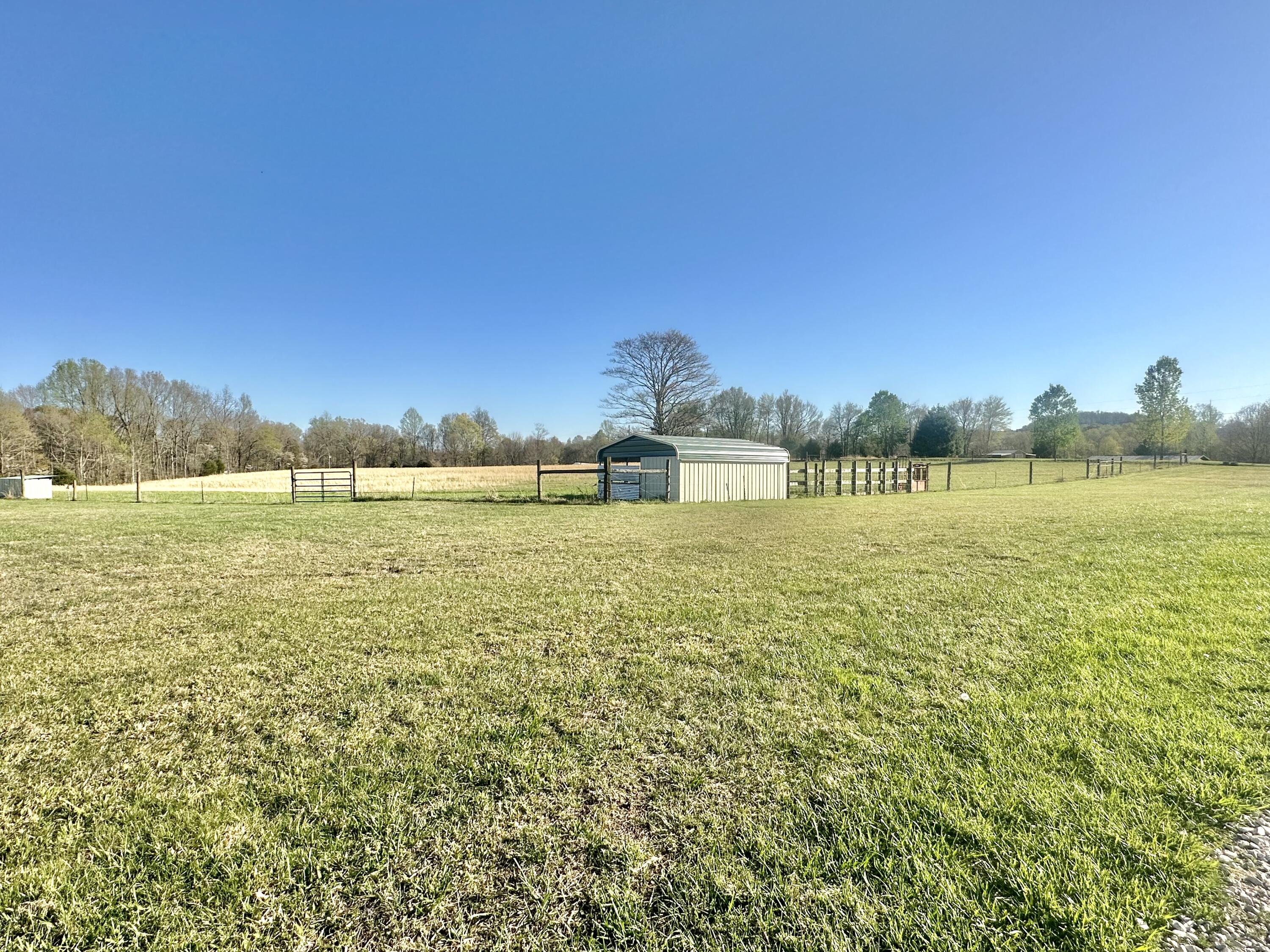 618 Bert Ridge Road Science Hill, KY 42553 - Photo 7 of 40 C0565E94-1614-4696-B272-41045A0545DE