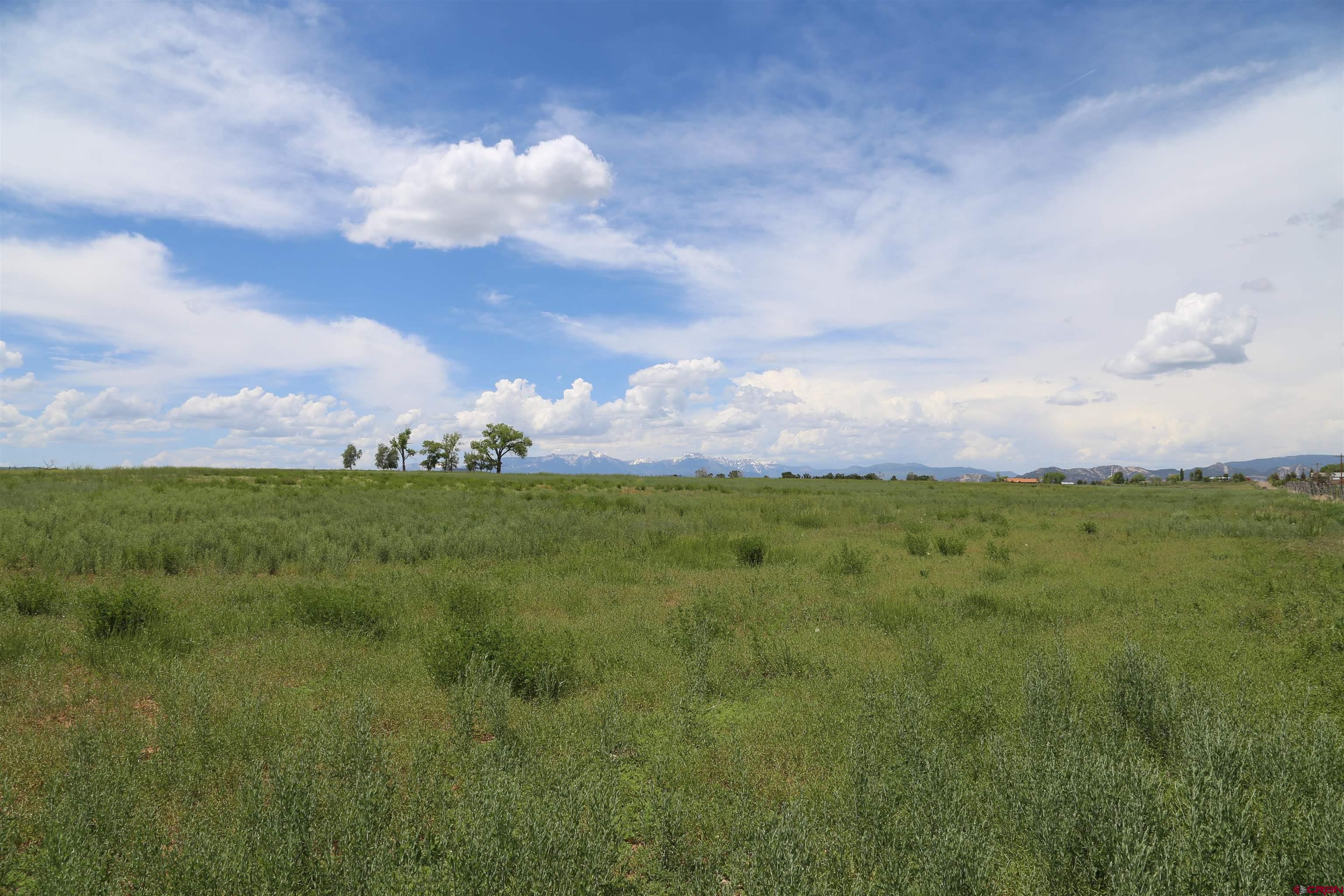 a view of an outdoor space and yard