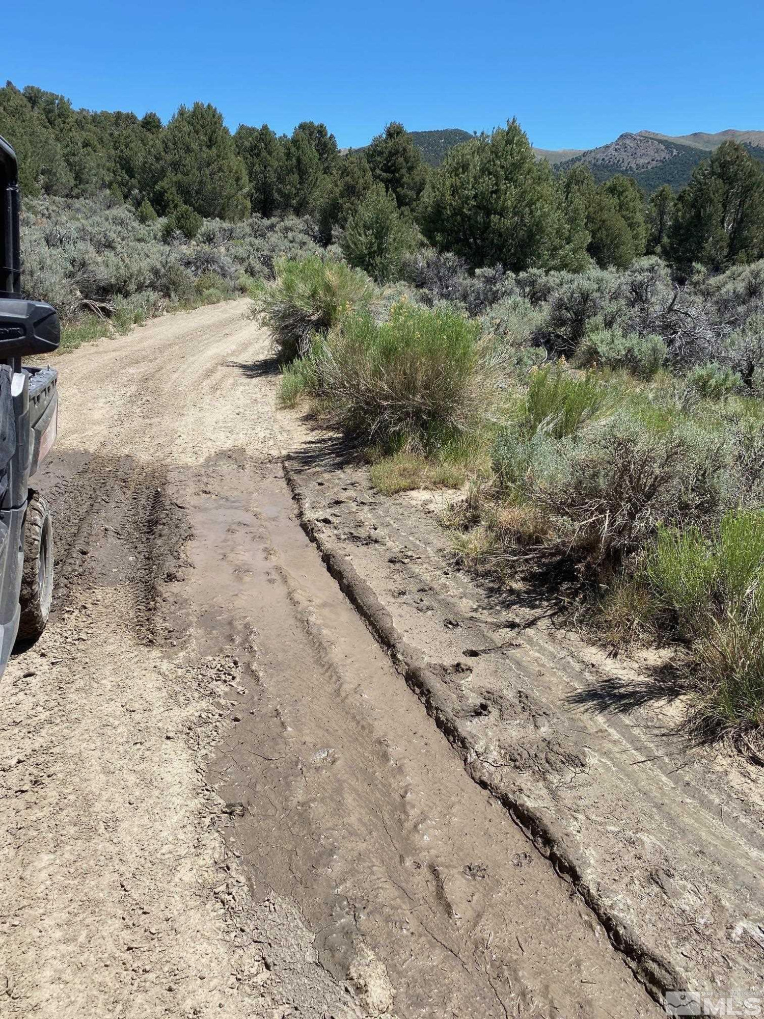 Tbd Eldorado Canyon Road Carson City, NV 89701 - Photo 7 of 20 Photo 7