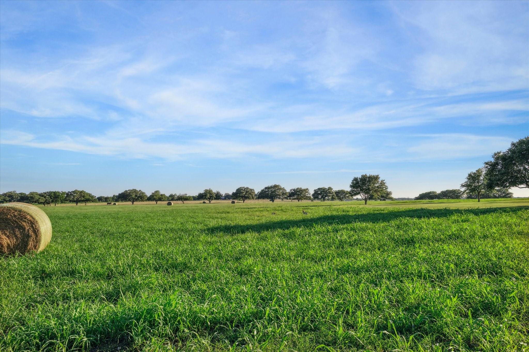 2817 Leonhardt Road Round Top, TX 78954 - Photo 3 of 11