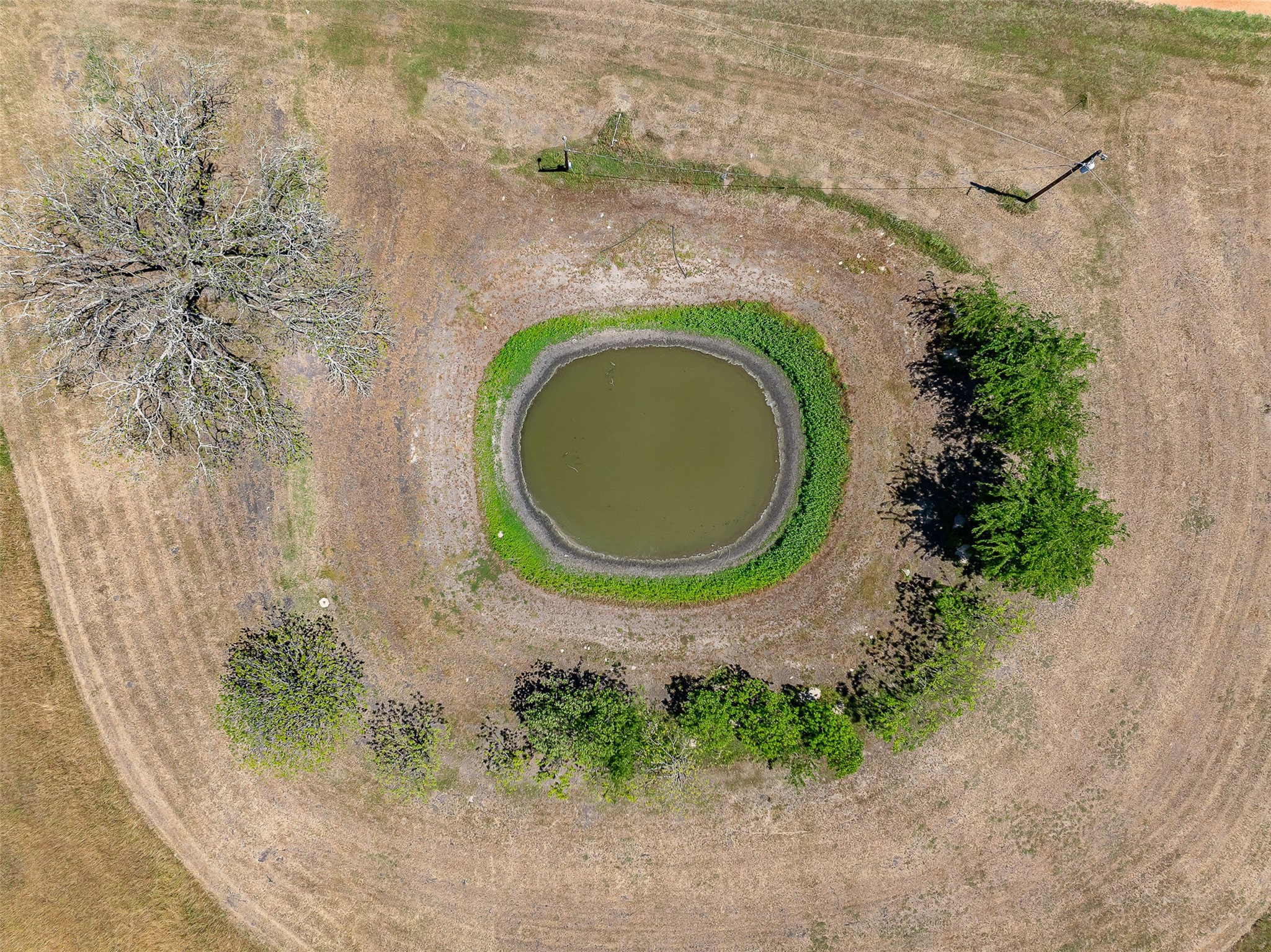2817 Leonhardt Road Round Top, TX 78954 - Photo 10 of 11