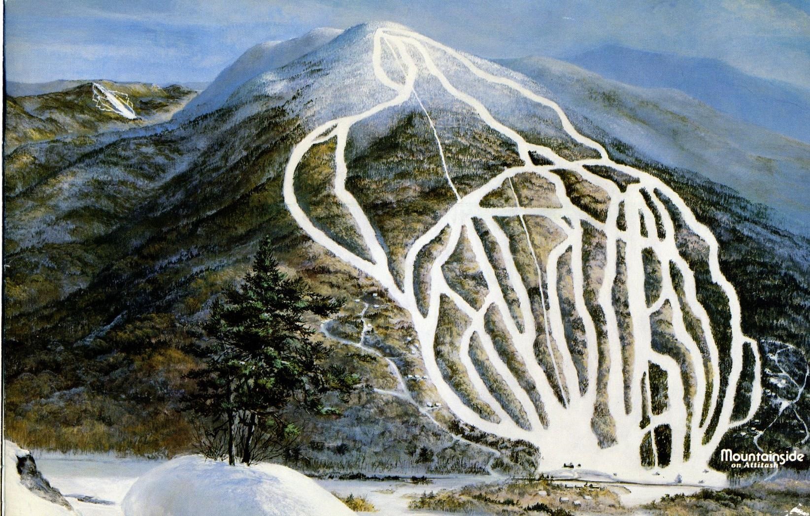 4 Mountainside At Attitash Road Bartlett, NH 03812 - Photo 3 of 54