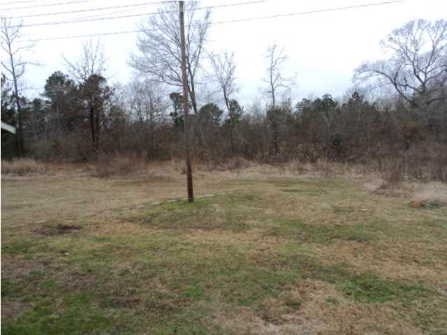 101 Wilson Road Pearl, MS 39208 - Photo 6 of 19 Photo 6