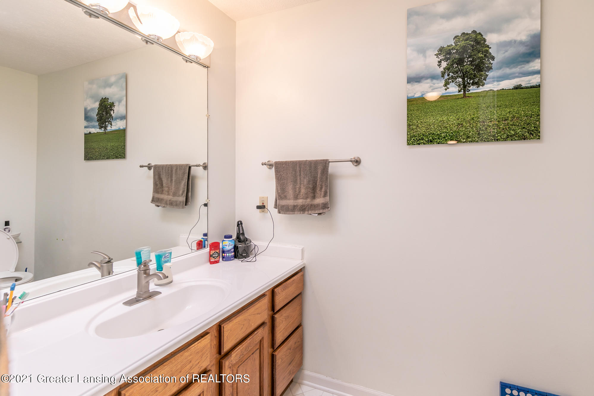 15270 Boichot Road Lansing, MI 48906 - Photo 17 of 23 Primary Bathroom