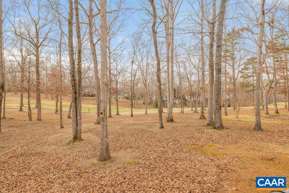 28 Out Of Bounds Road Palmyra, VA 22963 - Photo 35 of 41