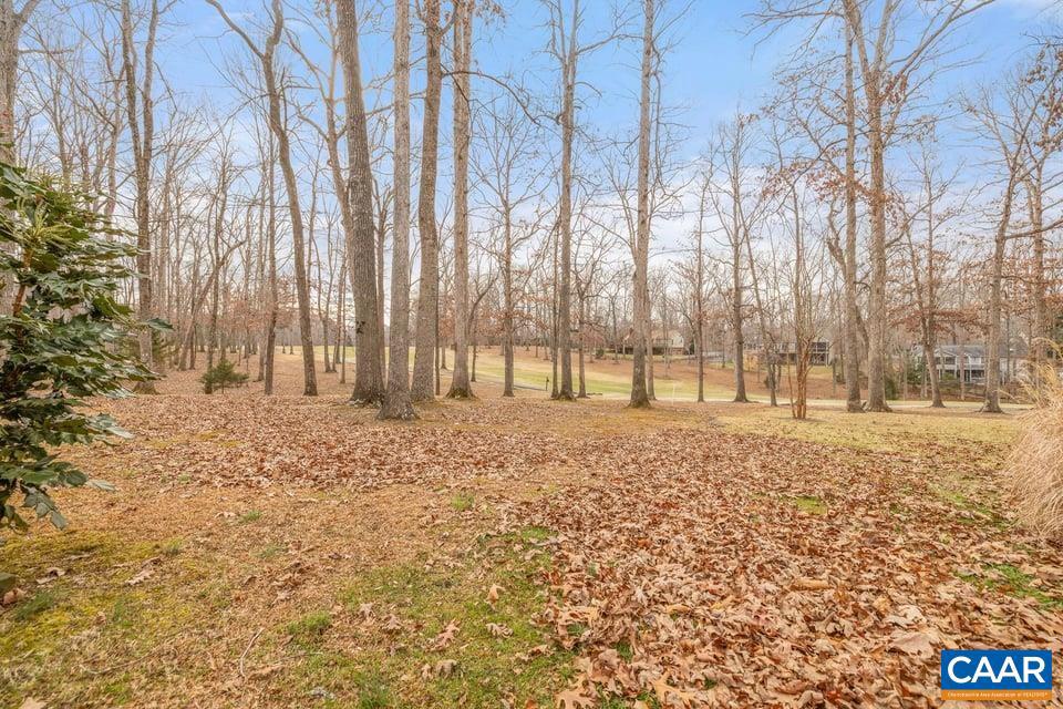 28 Out Of Bounds Road Palmyra, VA 22963 - Photo 36 of 41