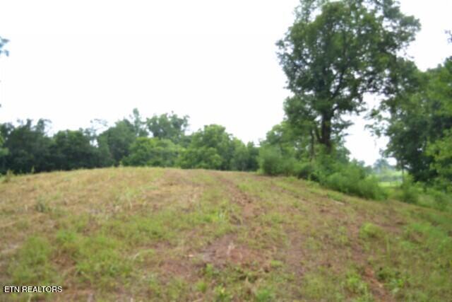 2390 Pea Ridge Fire Tower Road Celina, TN 38551 - Photo 30 of 35 DSC_0029