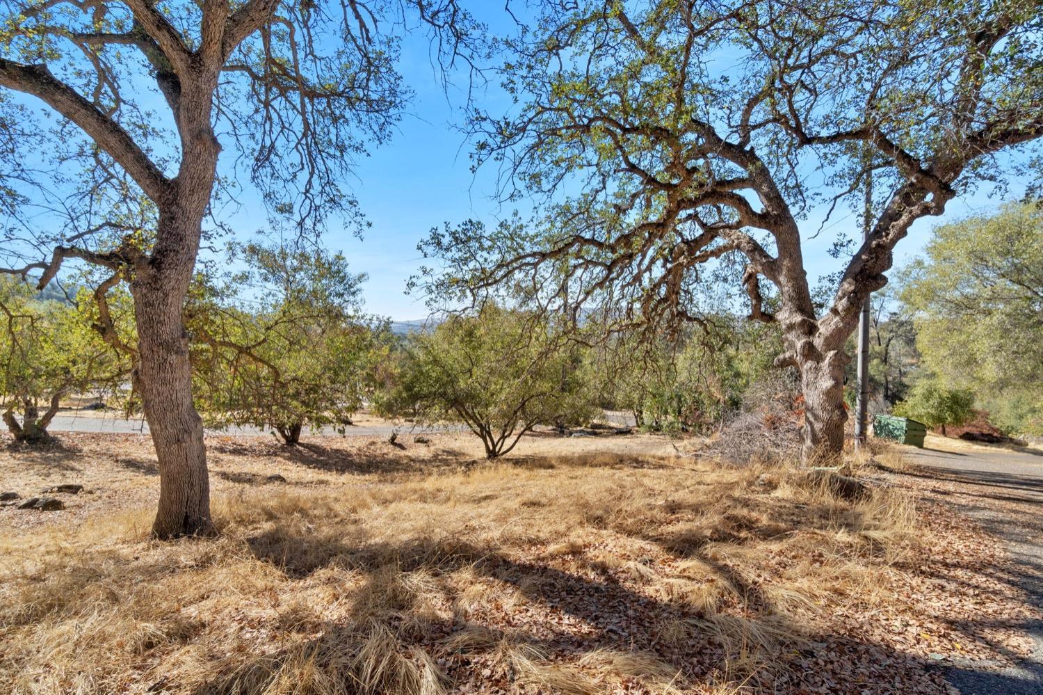 43299 Ranger Cir Drive Coarsegold, CA 93614 - Photo 37 of 44