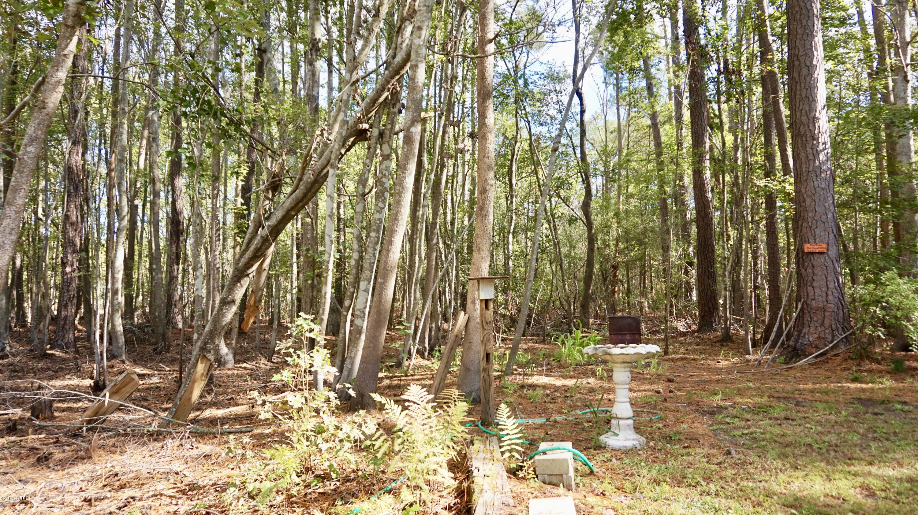 410 Sand Ridge Road New Bern, NC 28560 - Photo 20 of 20 Backyard View