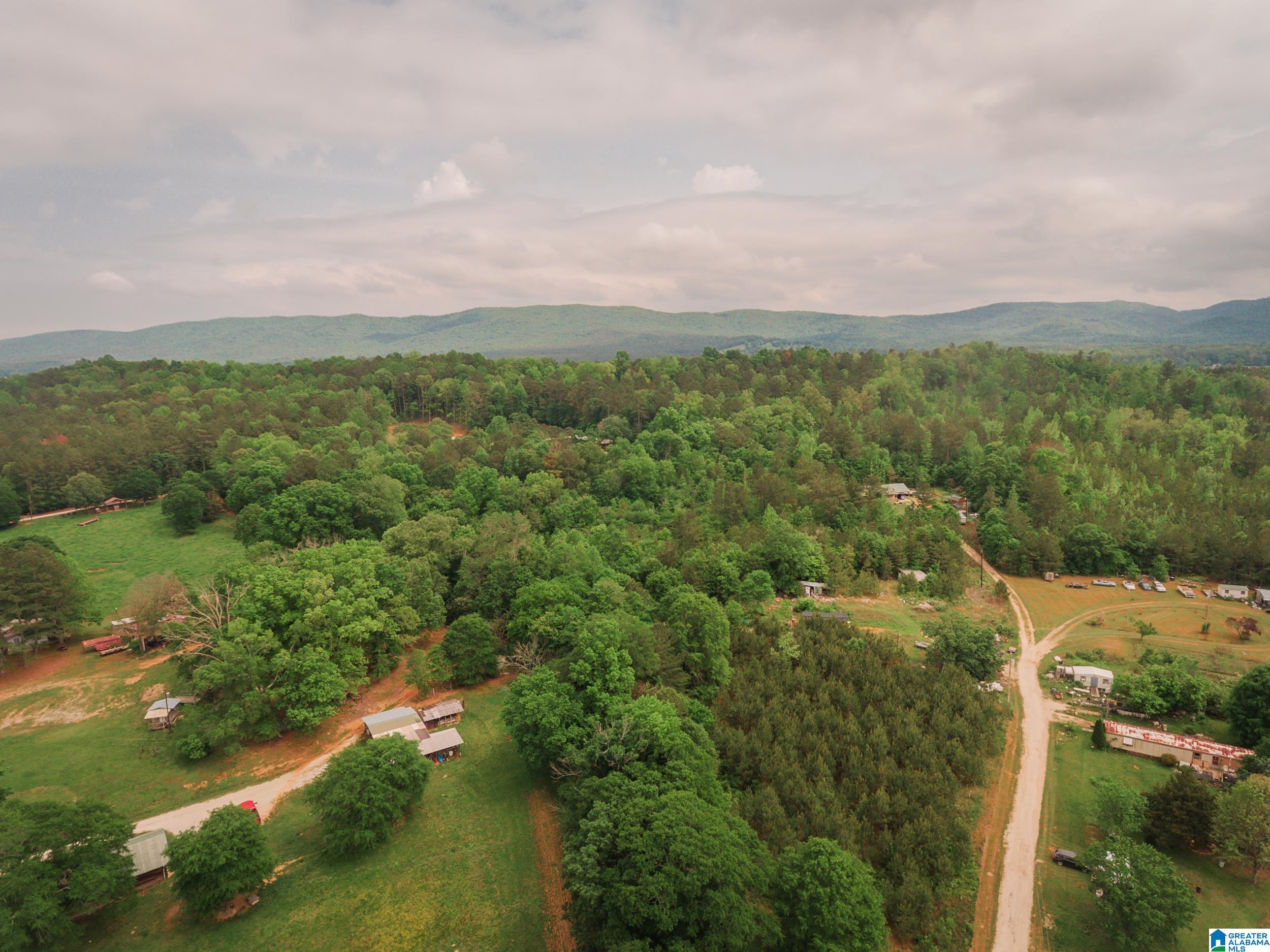600 Possum Trot Road, Unit 10 34 Piedmont, AL 36272 - Photo 13 of 15