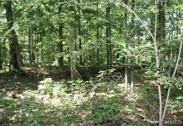 $52,500 | 9 Mattingly, Wappapello, MO 63966