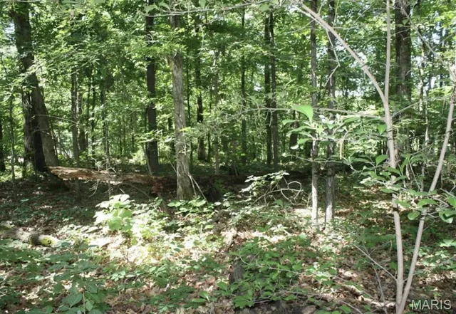 $52,500 | 9 Mattingly, Wappapello, MO 63966