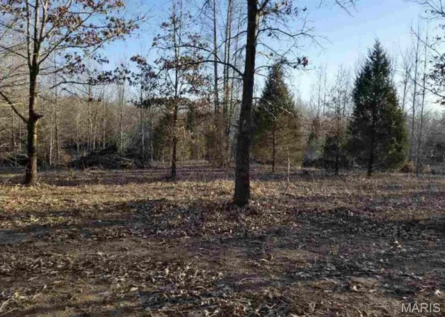 $52,500 | 9 Mattingly, Wappapello, MO 63966