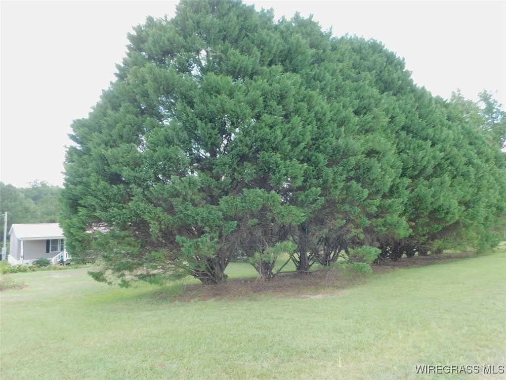 26055 Point A Isle Road Andalusia, AL 36421 - Photo 2 of 24 Gallery Image 2