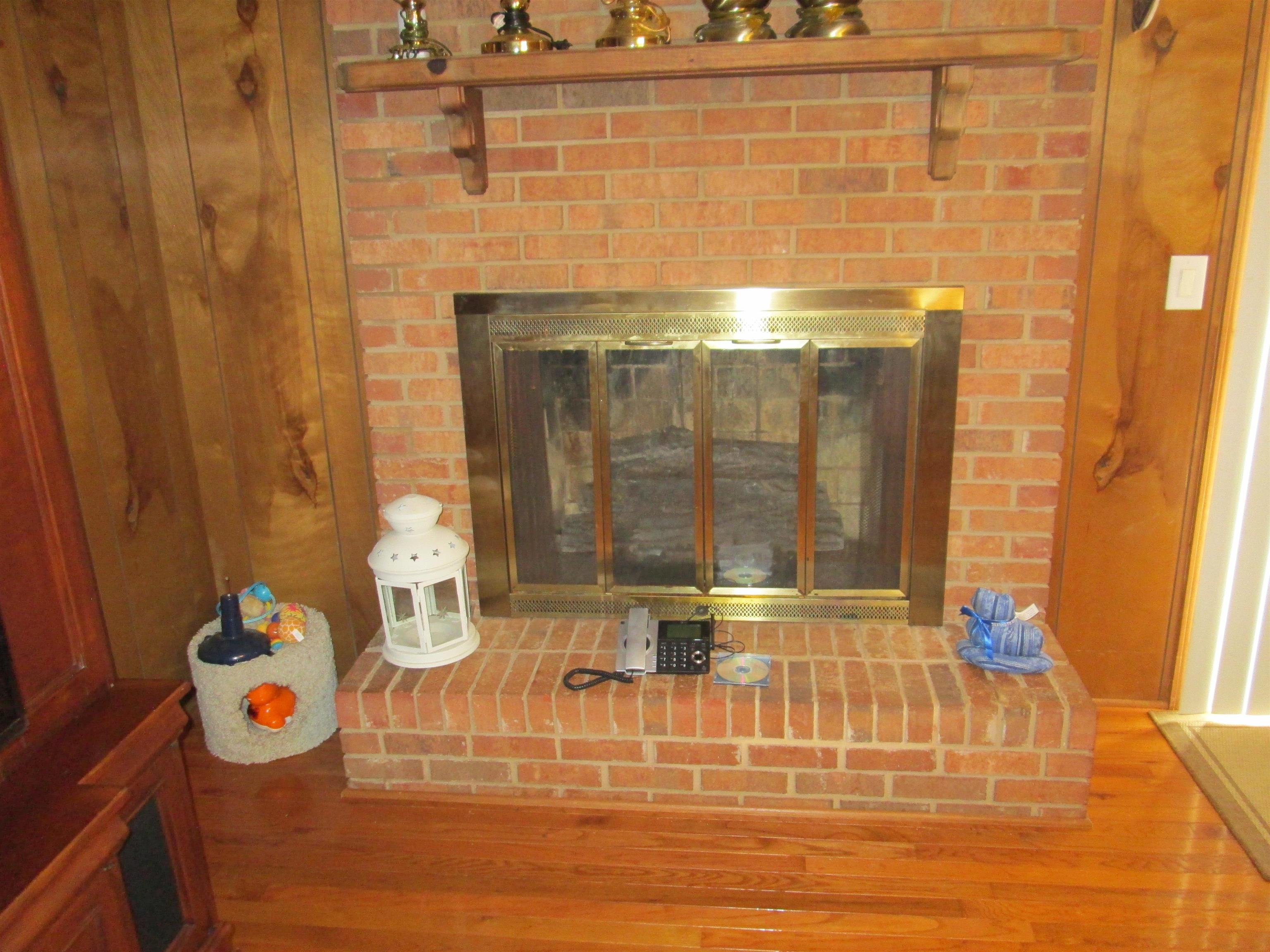102 West Bridges Street Landrum, SC 29356 - Photo 28 of 38 Fireplace