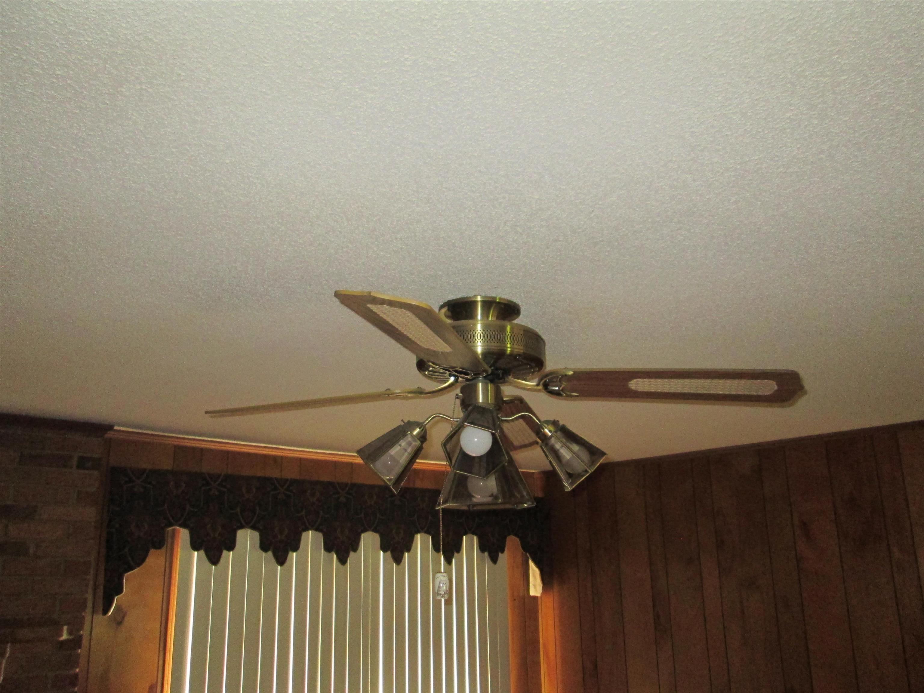 102 West Bridges Street Landrum, SC 29356 - Photo 29 of 38 Ceiling Fan
