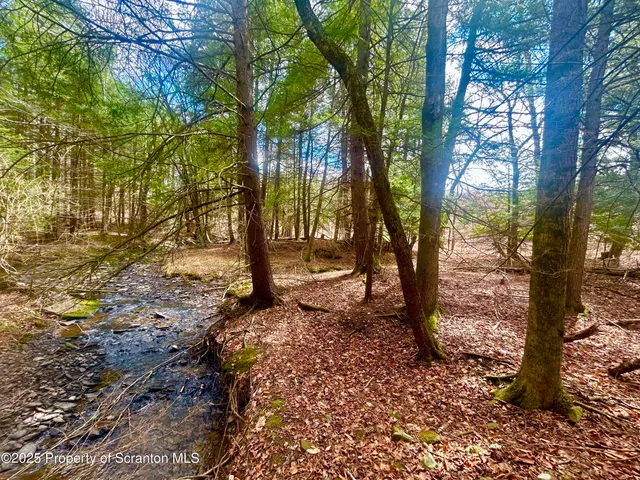 $120,000 | Hack Road, Dalton, PA 18414