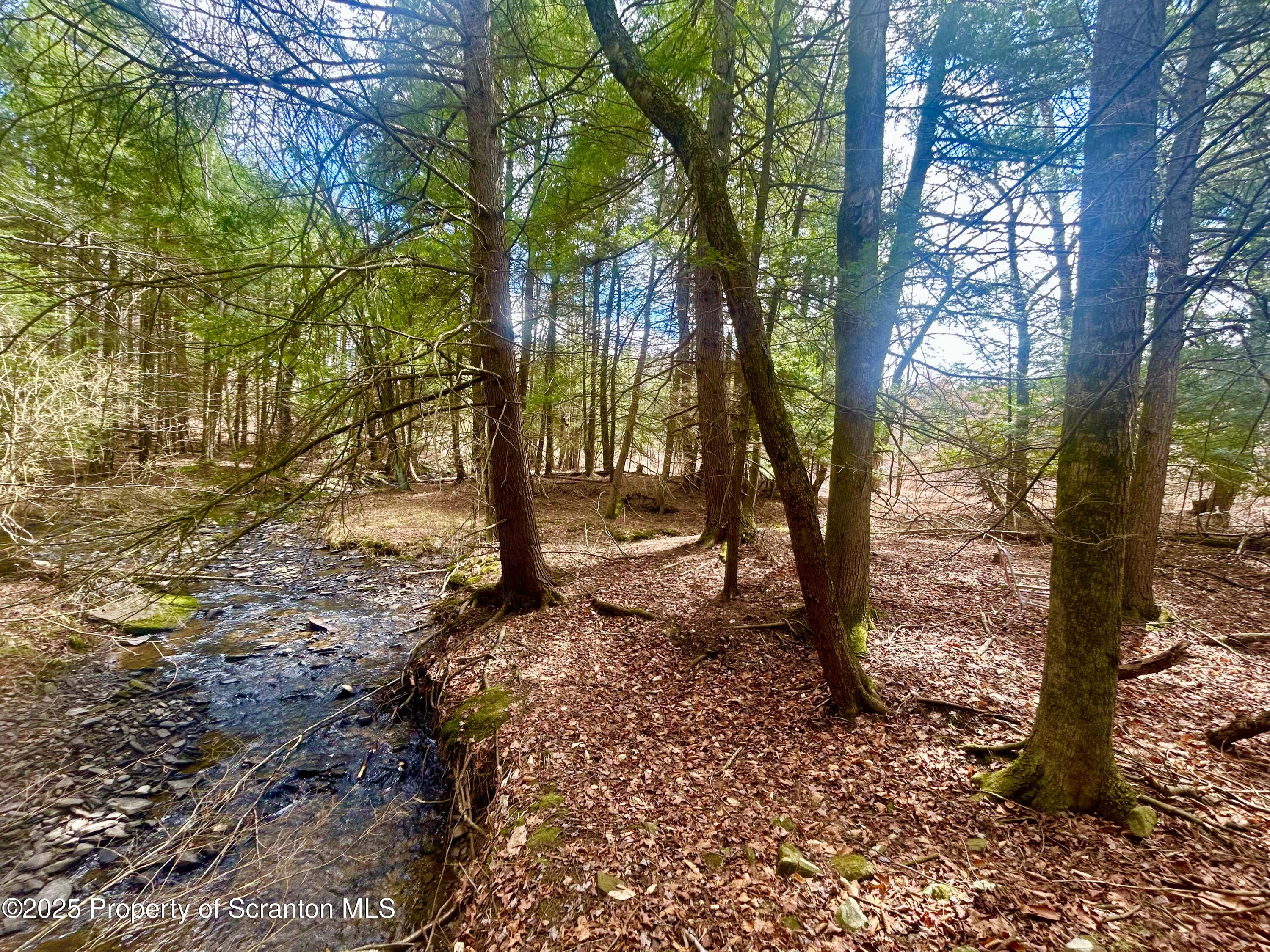 Hack Road Dalton, PA 18414 - Photo 2 of 7 IMG_1840