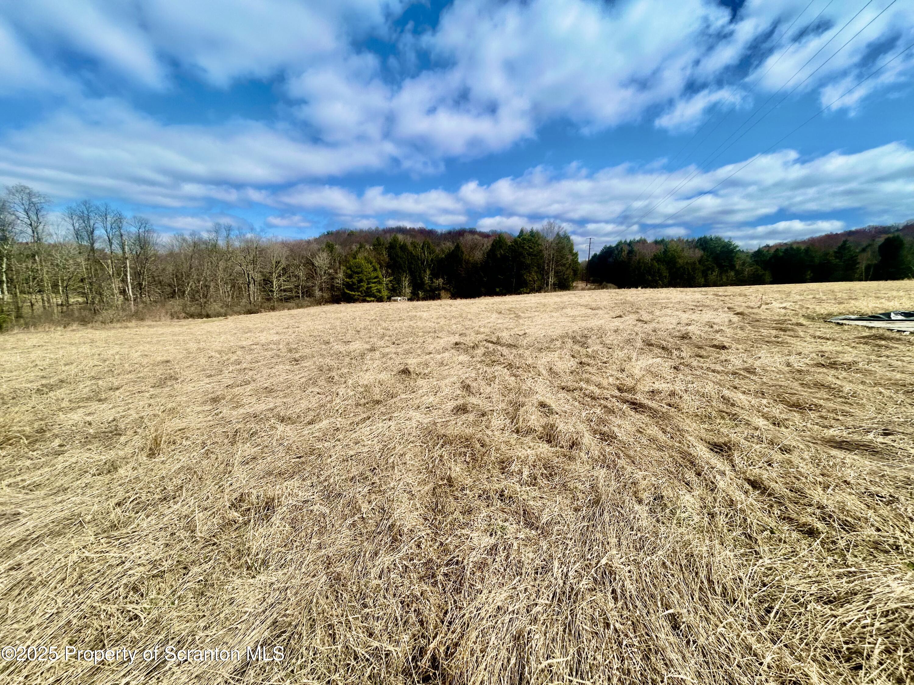 Hack Road Dalton, PA 18414 - Photo 7 of 7 IMG_1844