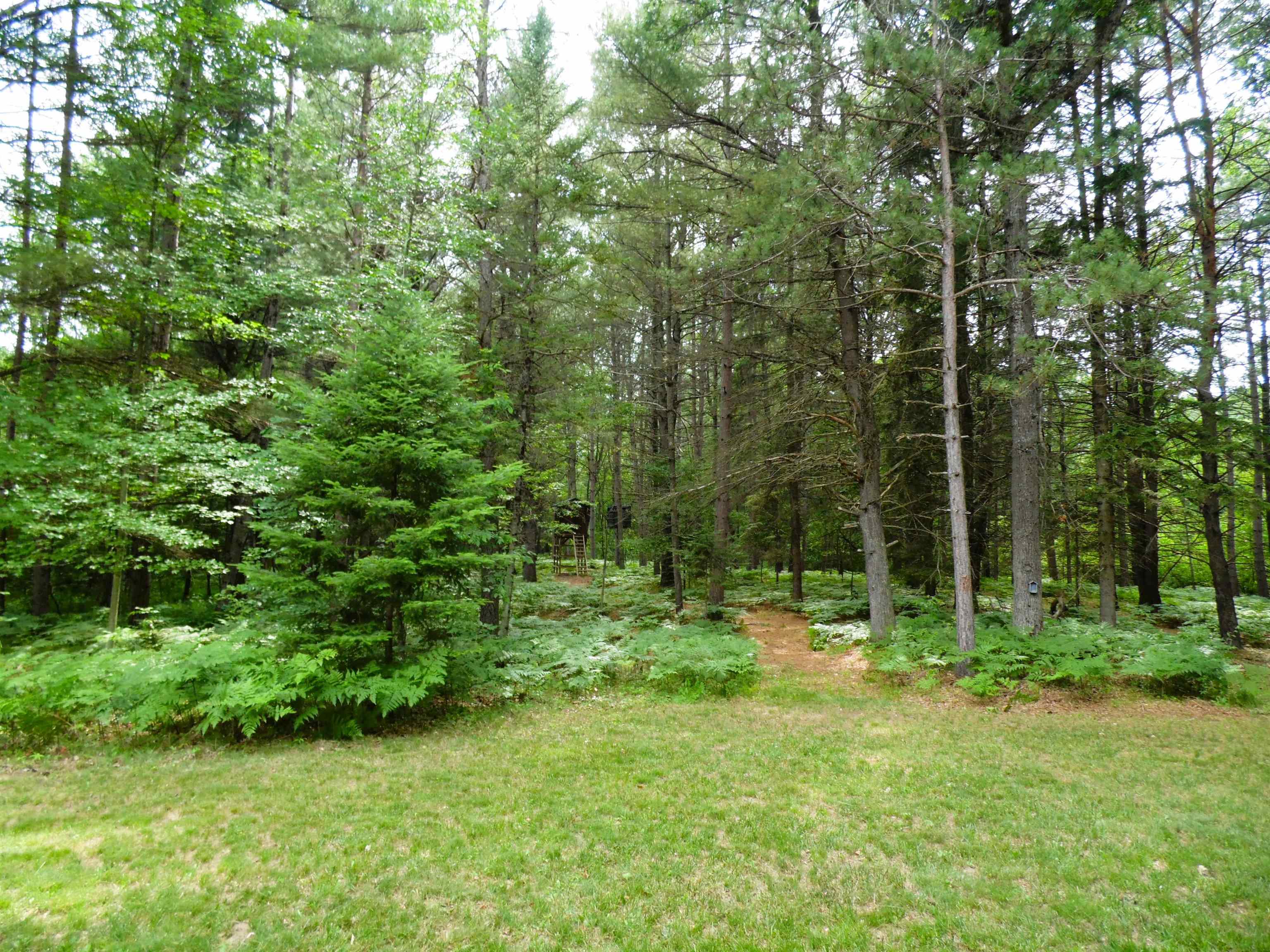 1912 Godbold Road Alger, MI 48610 - Photo 90 of 95