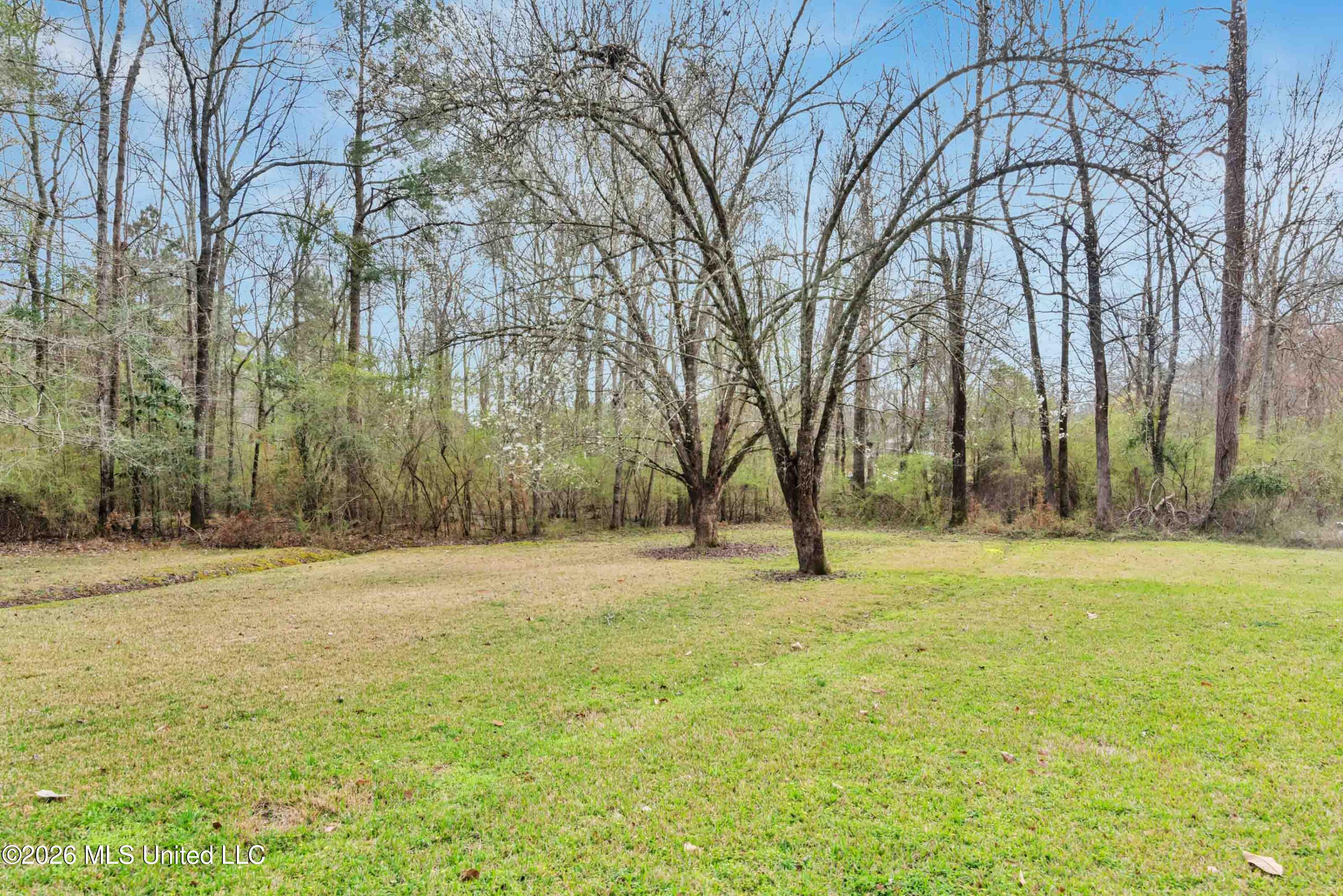 1297 Augusta Road Ellisville, MS 39437 - Photo 27 of 29 2 Acre Lot Space