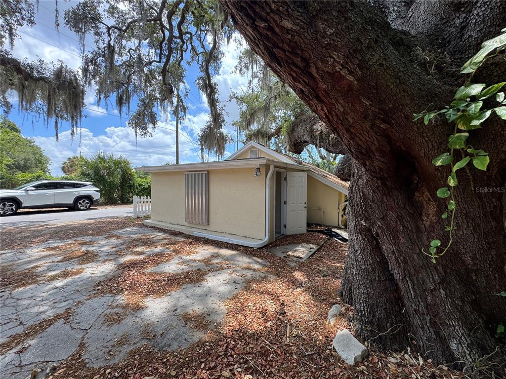432 Tampa Road Palm Harbor, FL 34683 - Photo 9 of 10