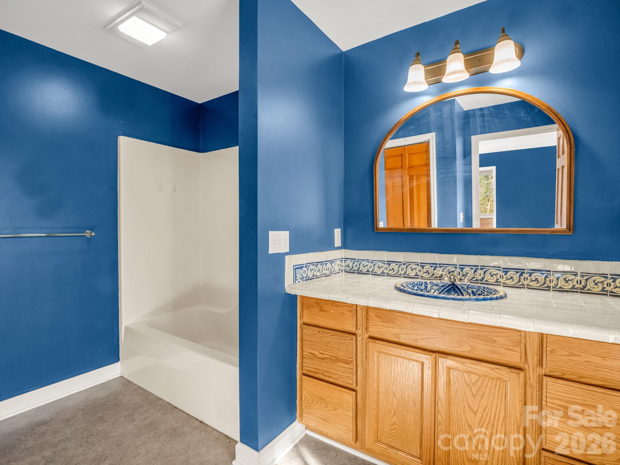 3205 Collinsville Road Columbus, NC 28722 - Photo 16 of 48 a bathroom with a sink and a mirror
