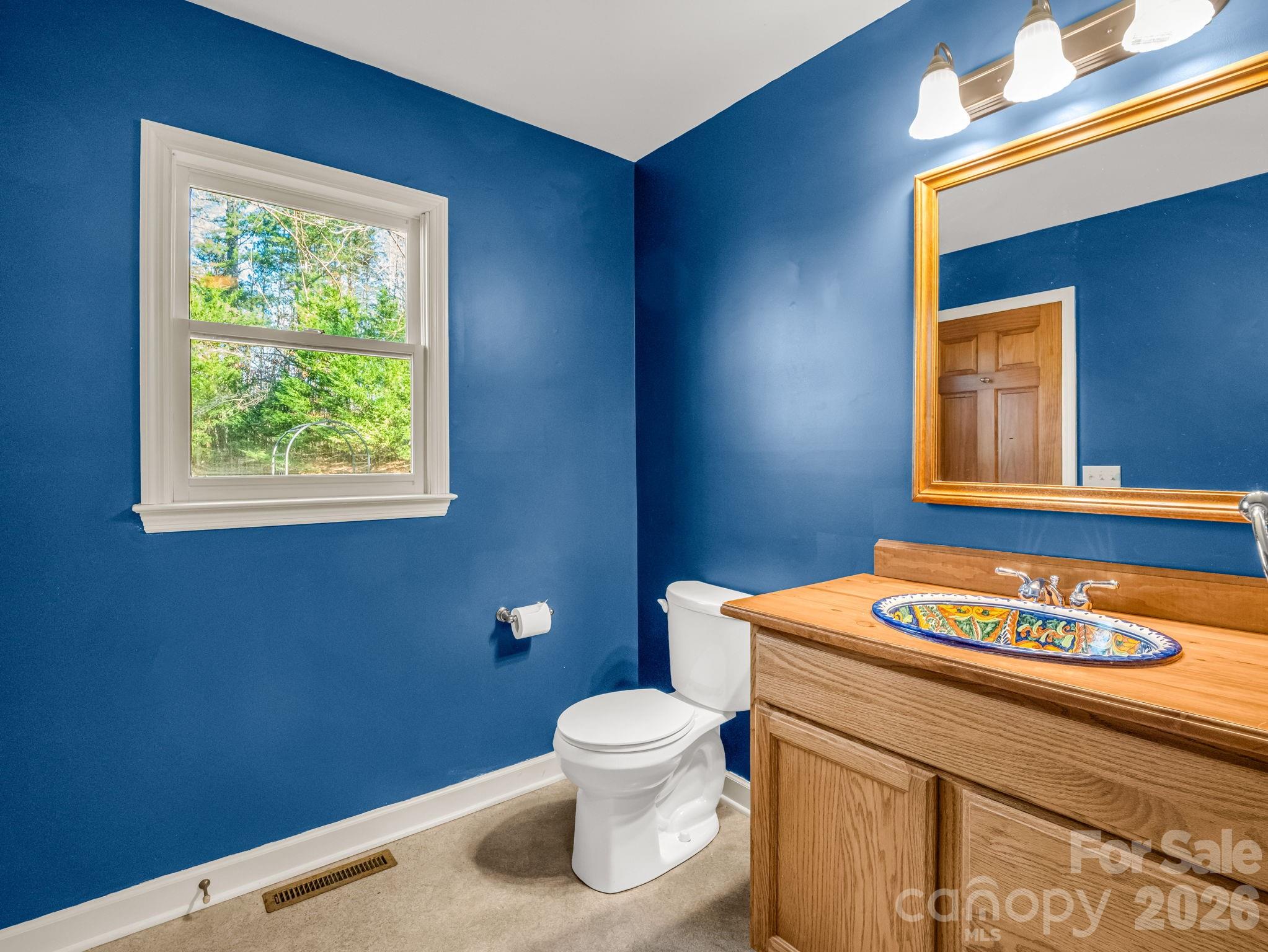 3205 Collinsville Road Columbus, NC 28722 - Photo 20 of 48 a bathroom with a toilet and a sink