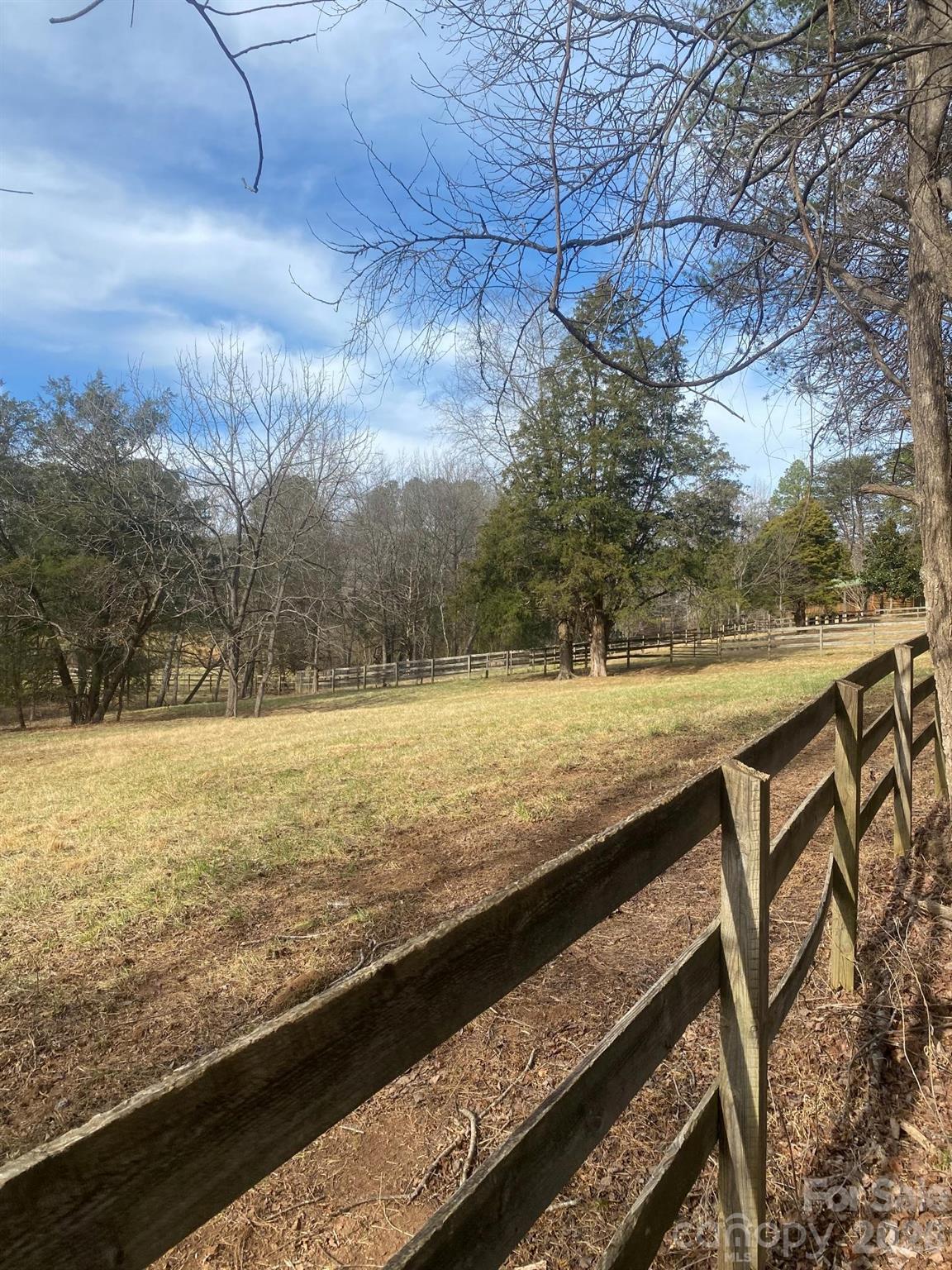 3205 Collinsville Road Columbus, NC 28722 - Photo 30 of 48 a view of a yard with an outdoor space