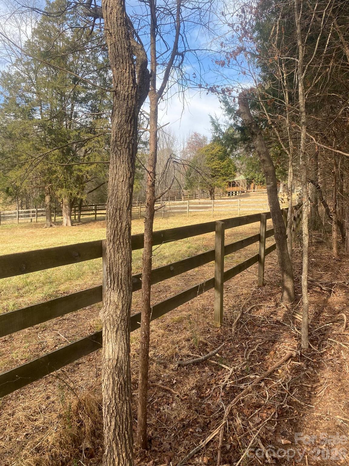 3205 Collinsville Road Columbus, NC 28722 - Photo 31 of 48 a view of outdoor space with trees in the background
