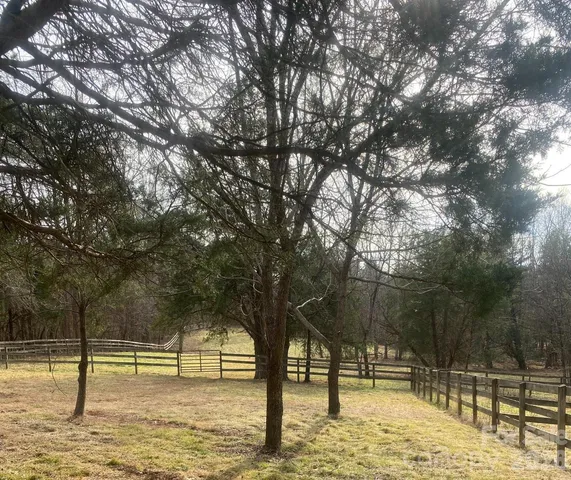 a view of backyard with a large tree