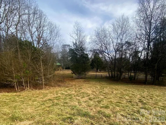 a view of a yard with large trees