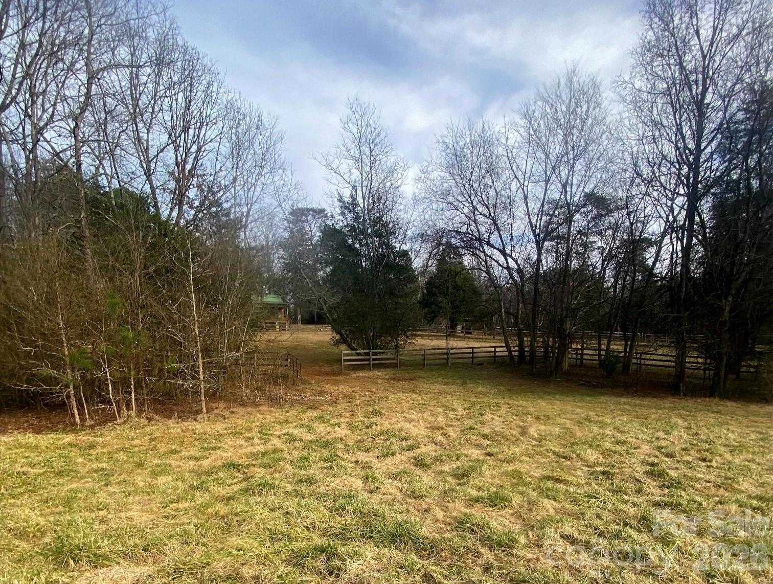 3205 Collinsville Road Columbus, NC 28722 - Photo 33 of 48 a view of a yard with a tree