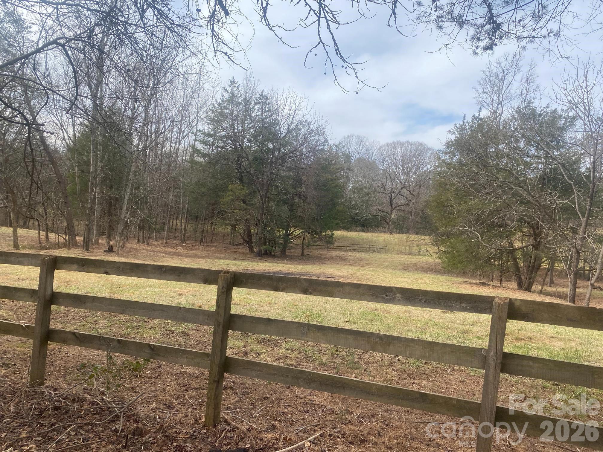 3205 Collinsville Road Columbus, NC 28722 - Photo 35 of 48 a view of backyard with a large tree