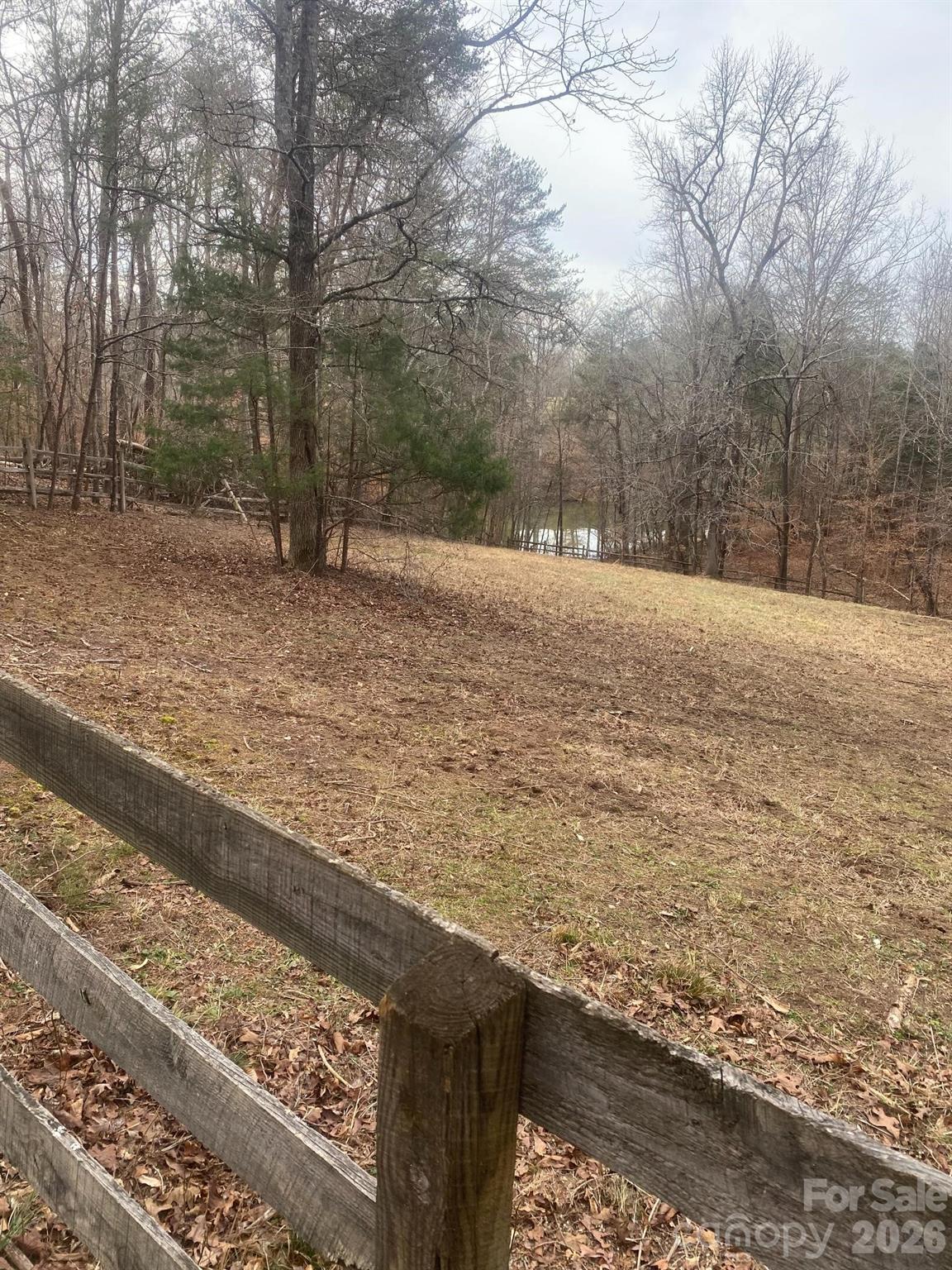 3205 Collinsville Road Columbus, NC 28722 - Photo 36 of 48 a view of a yard with large trees