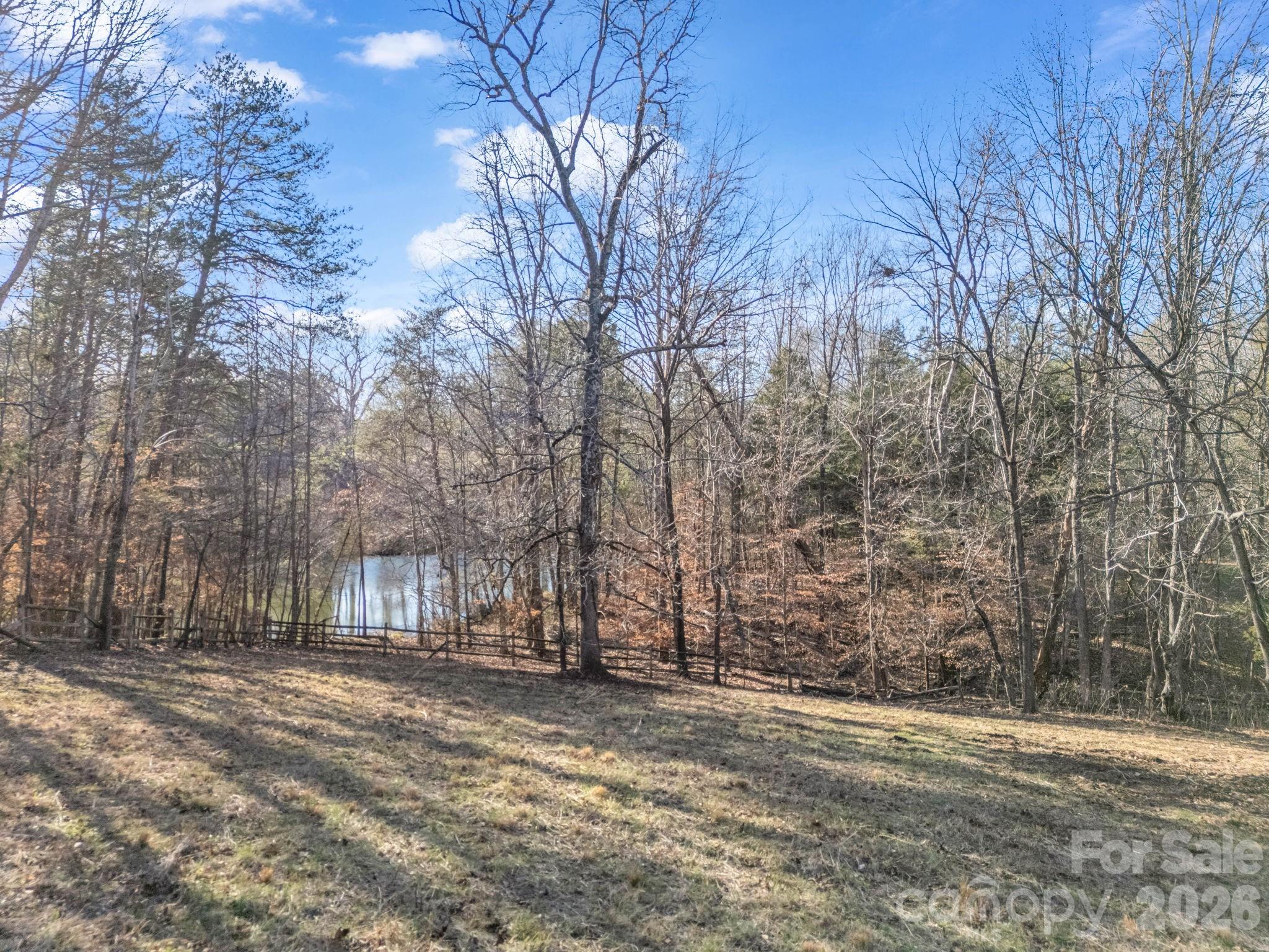 3205 Collinsville Road Columbus, NC 28722 - Photo 39 of 48 a view of a yard with trees