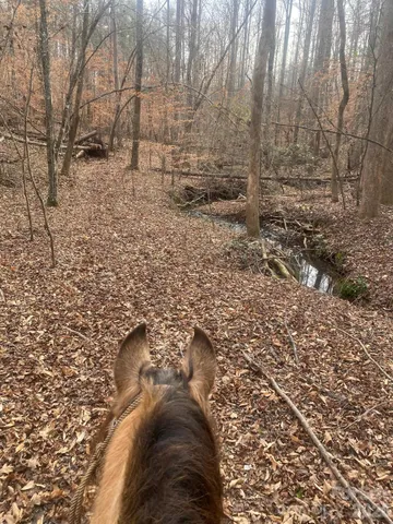 a view of empty room with trees