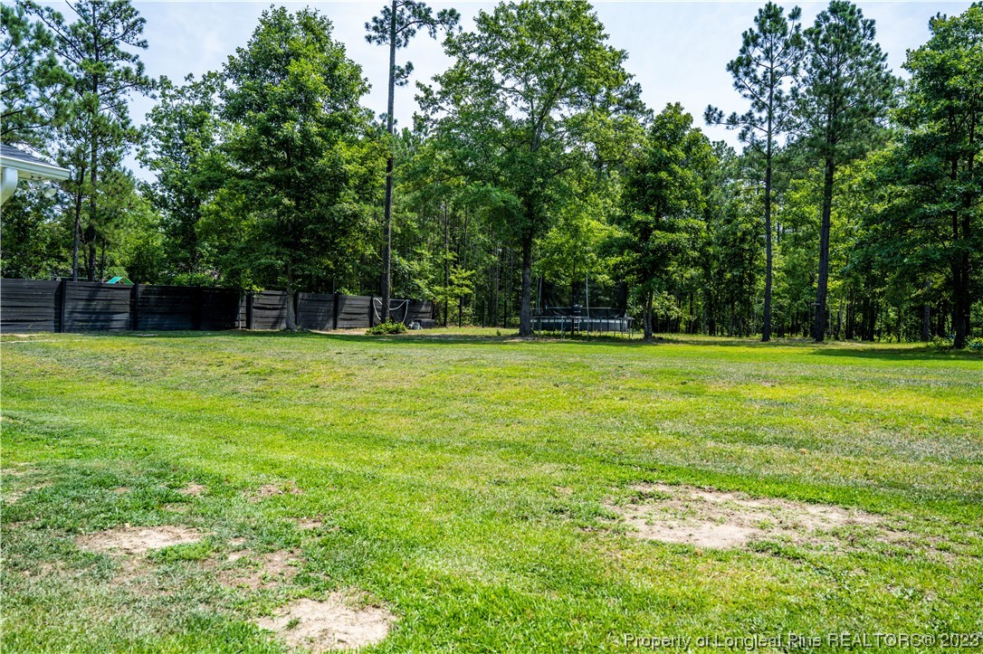 96 Eaker Drive Cameron, NC 28326 - Photo 36 of 41