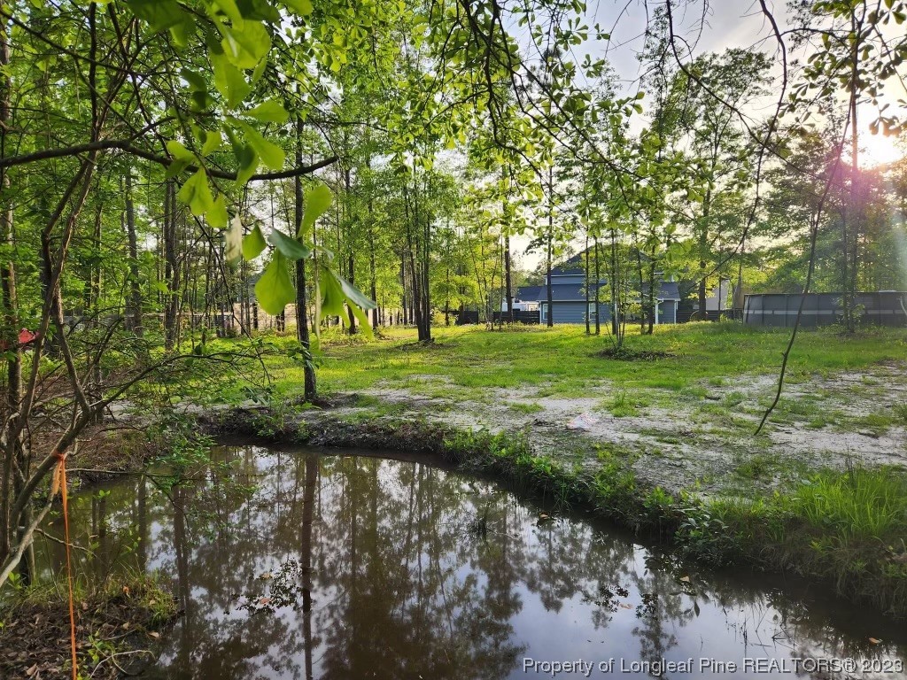 96 Eaker Drive Cameron, NC 28326 - Photo 37 of 41 a view of a park with large trees