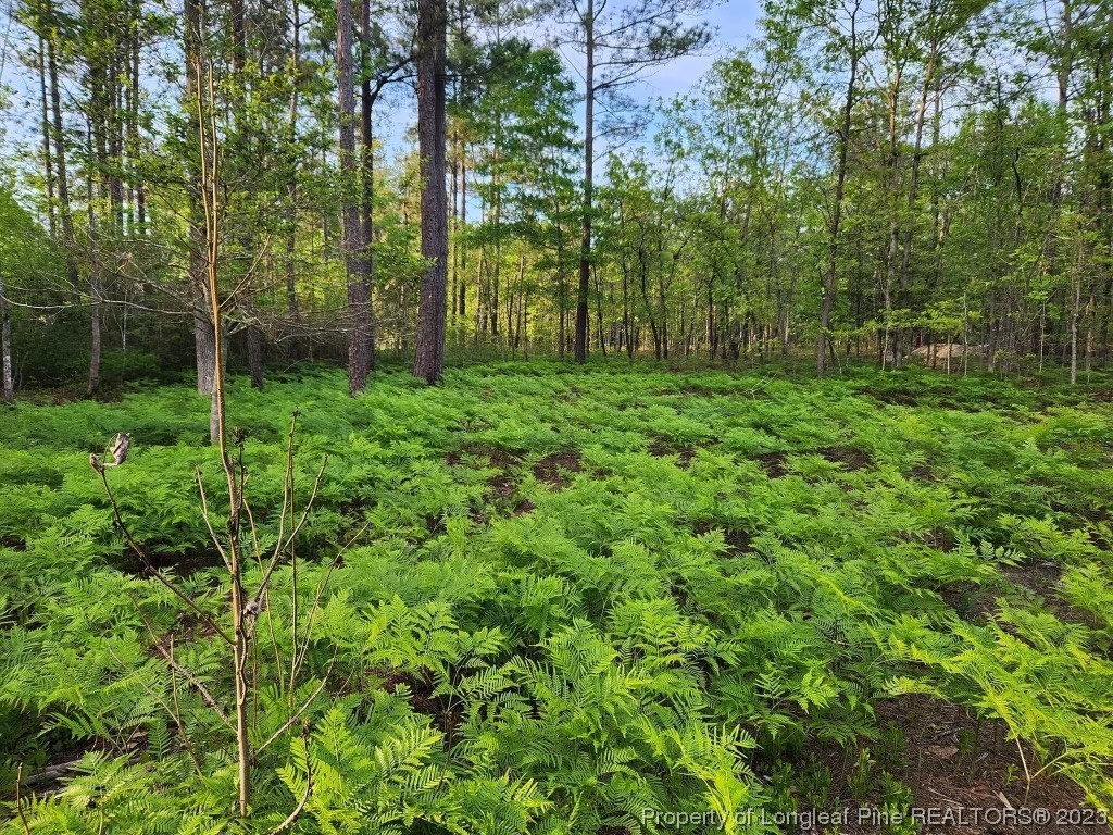 96 Eaker Drive Cameron, NC 28326 - Photo 38 of 41 a view of outdoor space and garden