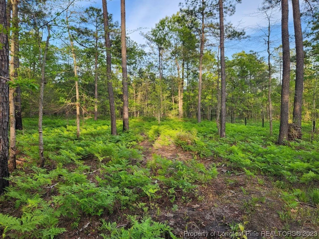 96 Eaker Drive Cameron, NC 28326 - Photo 39 of 41