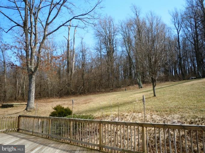 21722 Blue Ridge Mountain Road Paris, VA 20130 - Photo 5 of 6 View