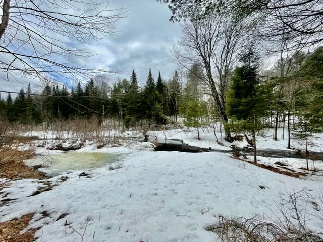 309 Beckwith Road Cornville, ME 04976 - Photo 39 of 54 IMG_6714