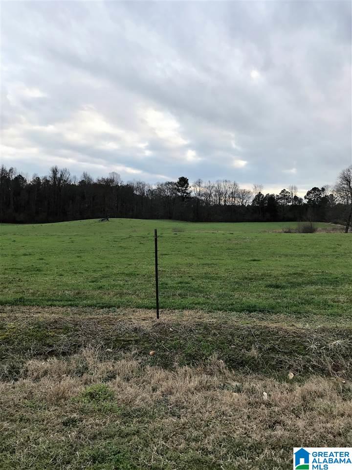 0 Valley Drive Steele, AL 35987 - Photo 4 of 6