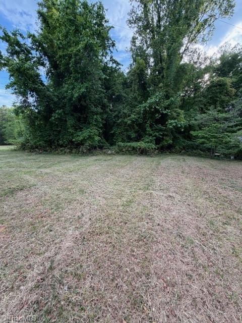 919 County Home Road Reidsville, NC 27320 - Photo 7 of 7