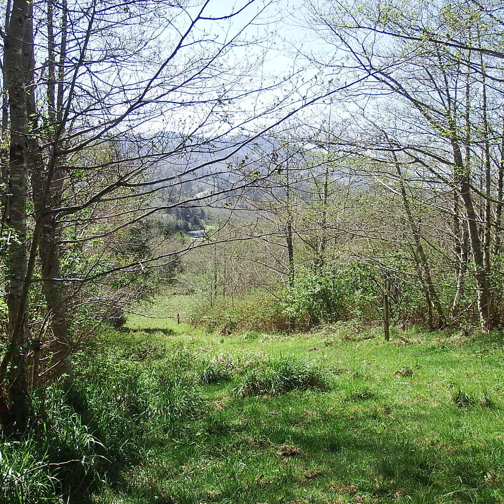 6205 Scherzinger Road Neskowin, OR 97149 - Photo 64 of 88 West Property Line
