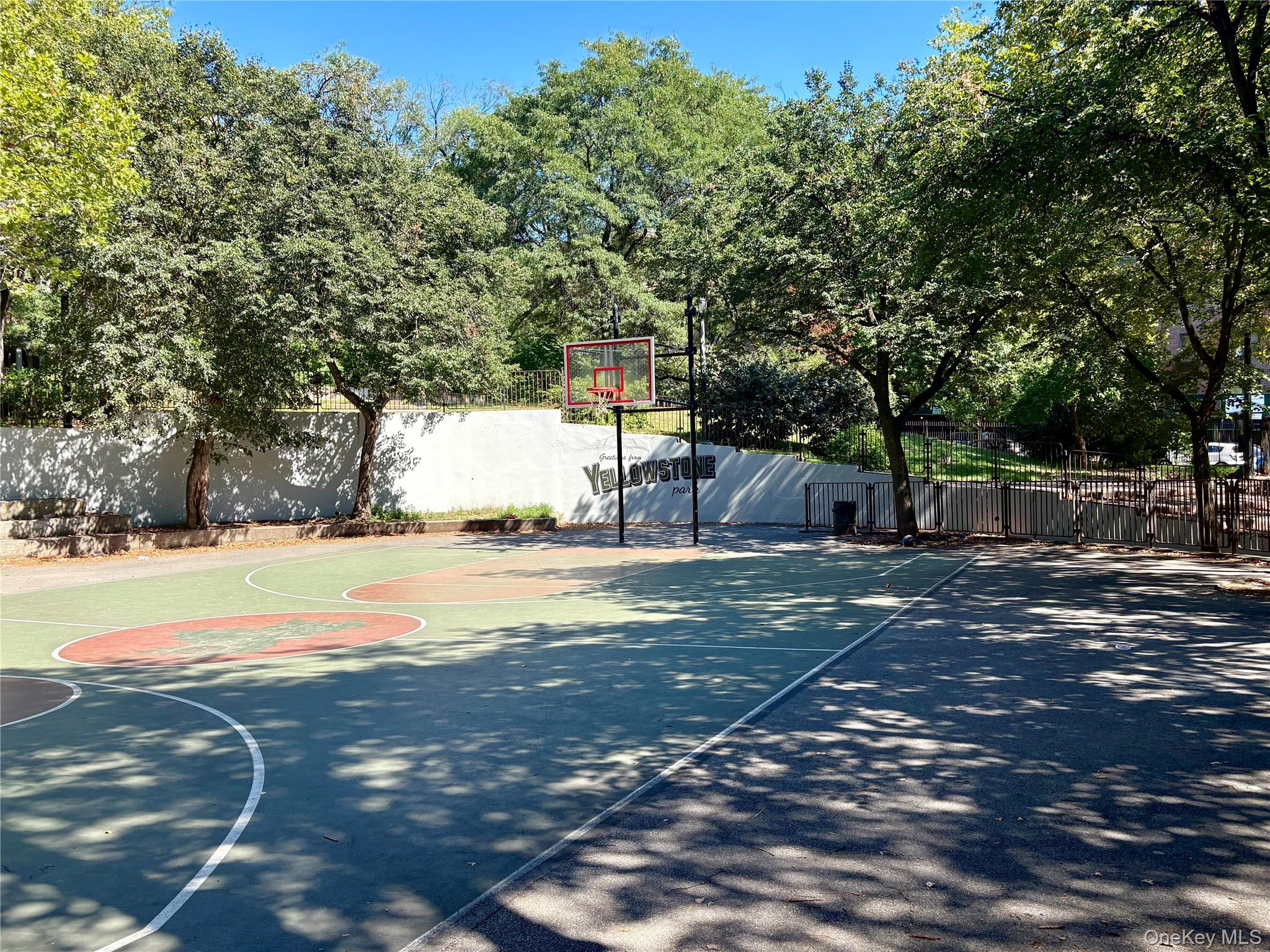 102-55 67th Road, Unit 3W Queens, NY 11375 - Photo 11 of 12 a view of a yard with large trees