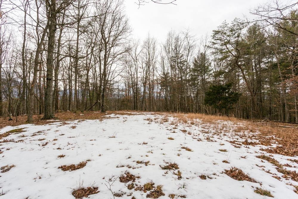 Lot 44 Rainbow Ridge Road Criders, VA 22820 - Photo 2 of 6